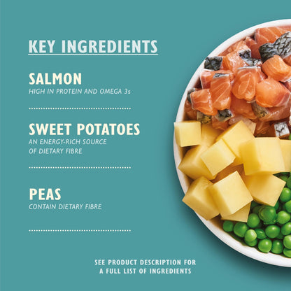 Lily’s Kitchen Made with Natural Ingredients Adult Dry Dog Food Balanced Recipe - Sayby’s