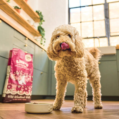 Lily’s Kitchen Made with Natural Ingredients Adult Dry Dog Food Balanced Recipe - Sayby’s