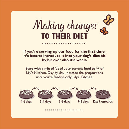 Lily’s Kitchen Made with Natural Ingredients Adult Dry Dog Food Balanced Recipe - Sayby’s