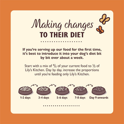 Lily’s Kitchen Made with Natural Ingredients Adult Dry Dog Food Balanced Recipe - Sayby’s