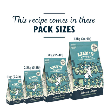 Lily’s Kitchen Made with Natural Ingredients Adult Dry Dog Food Balanced Recipe - Sayby’s