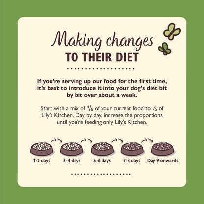 Lily’s Kitchen Made with Natural Ingredients Adult Dry Dog Food Balanced Recipe - Sayby’s