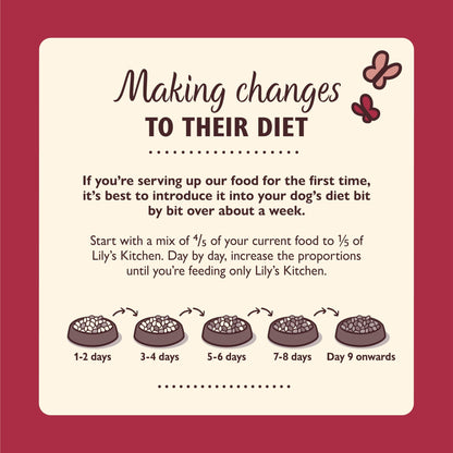 Lily’s Kitchen Made with Natural Ingredients Adult Dry Dog Food Balanced Recipe - Sayby’s