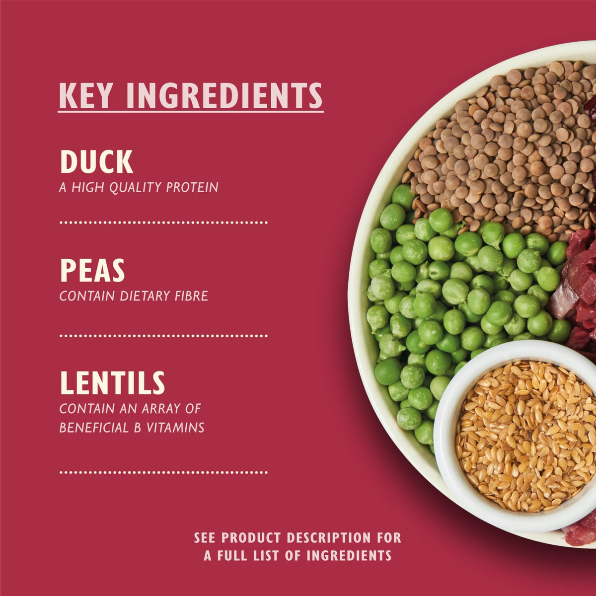 Lily’s Kitchen Made with Natural Ingredients Adult Dry Dog Food Balanced Recipe - Sayby’s