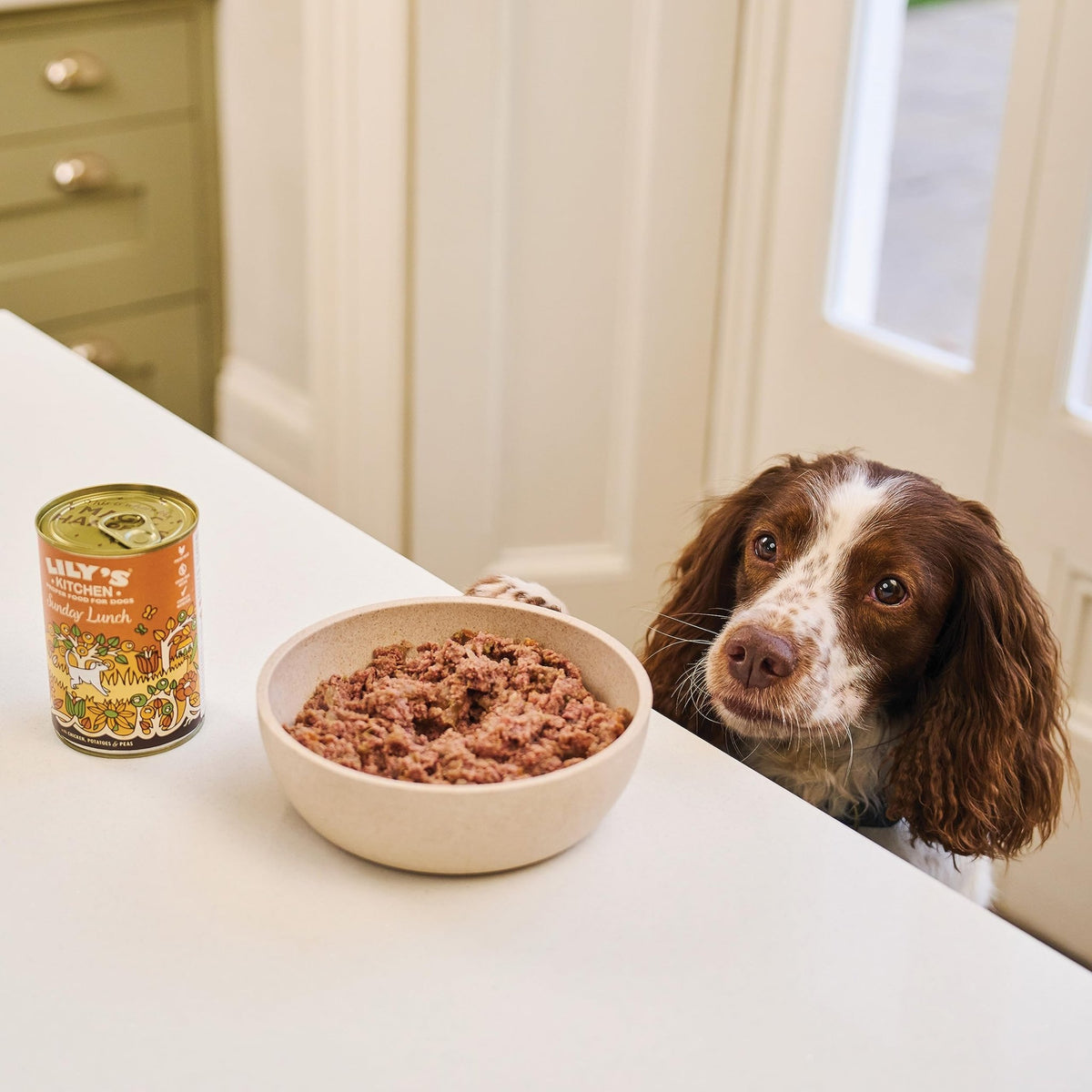 Lily's Kitchen Natural Adult Dog Food Wet Trays - Classic Dinners Multipack - Chicken, Lamb & Beef - Complete Meal Recipes - Sayby’s