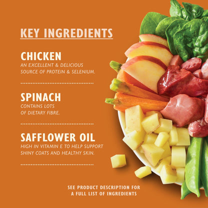 Lily's Kitchen Natural Adult Dog Food Wet Trays - Classic Dinners Multipack - Chicken, Lamb & Beef - Complete Meal Recipes - Sayby’s