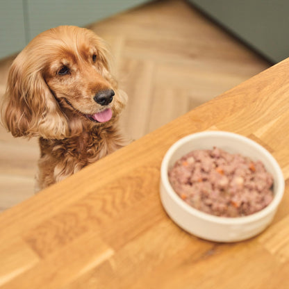 Lily's Kitchen Natural Adult Dog Food Wet Trays - Classic Dinners Multipack - Chicken, Lamb & Beef - Complete Meal Recipes - Sayby’s