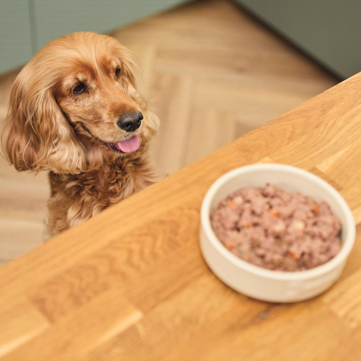 Lily's Kitchen Natural Adult Dog Food Wet Trays - Classic Dinners Multipack - Chicken, Lamb & Beef - Complete Meal Recipes - Sayby’s