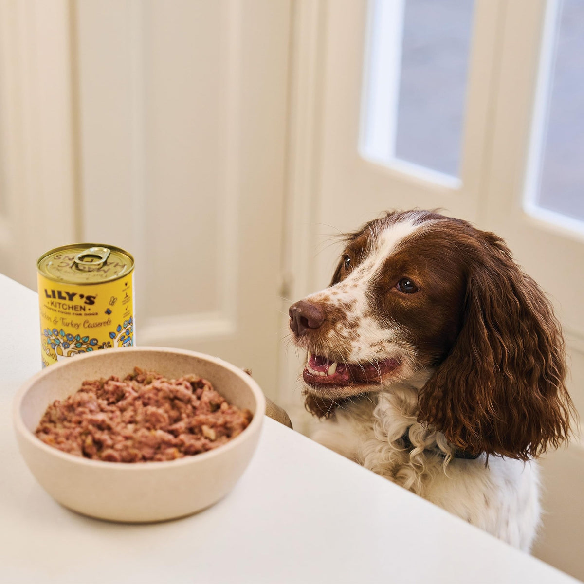 Lily's Kitchen Natural Adult Wet Dog Food Tins Grain-Free Recipe Variety pack 400g - Sayby’s