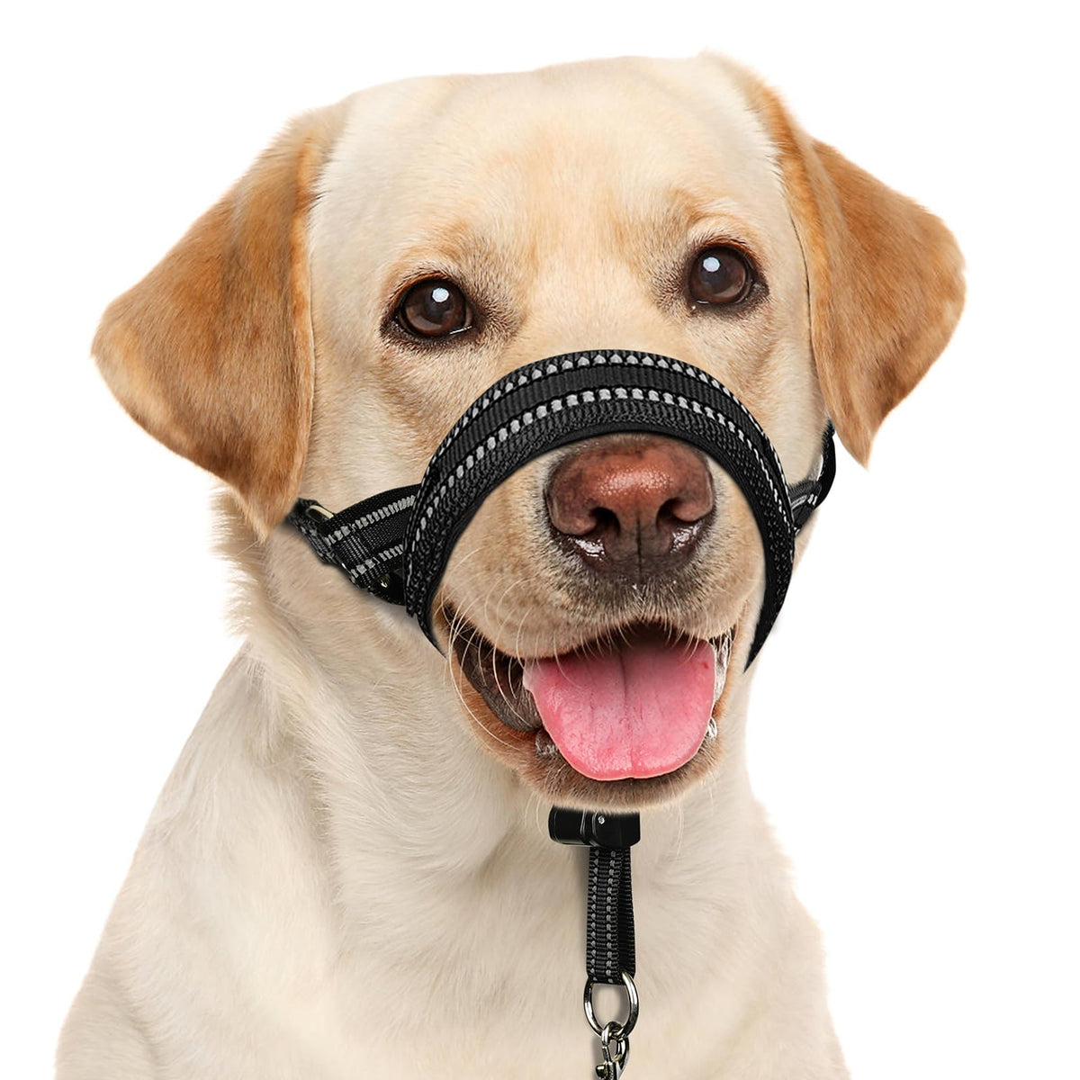Mayerzon Dog Head Collar with Soft Padded, Gentle Leader for Medium Large Dogs, No Pull Head Harness, Anti Pull Adjustable Reflective Training Head Halter Collar (M) - Sayby’s