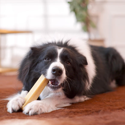 Natural Dog Chews - Delicious, Hard and Long Lasting Yak Chews for Dogs, Dog Treats for Dental Care, Dental Sticks for Healthy Teeth - L size (pack of 3) - Sayby’s