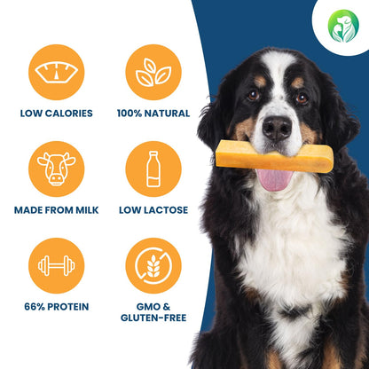 Natural Dog Chews - Delicious, Hard and Long Lasting Yak Chews for Dogs, Dog Treats for Dental Care, Dental Sticks for Healthy Teeth - L size (pack of 3) - Sayby’s