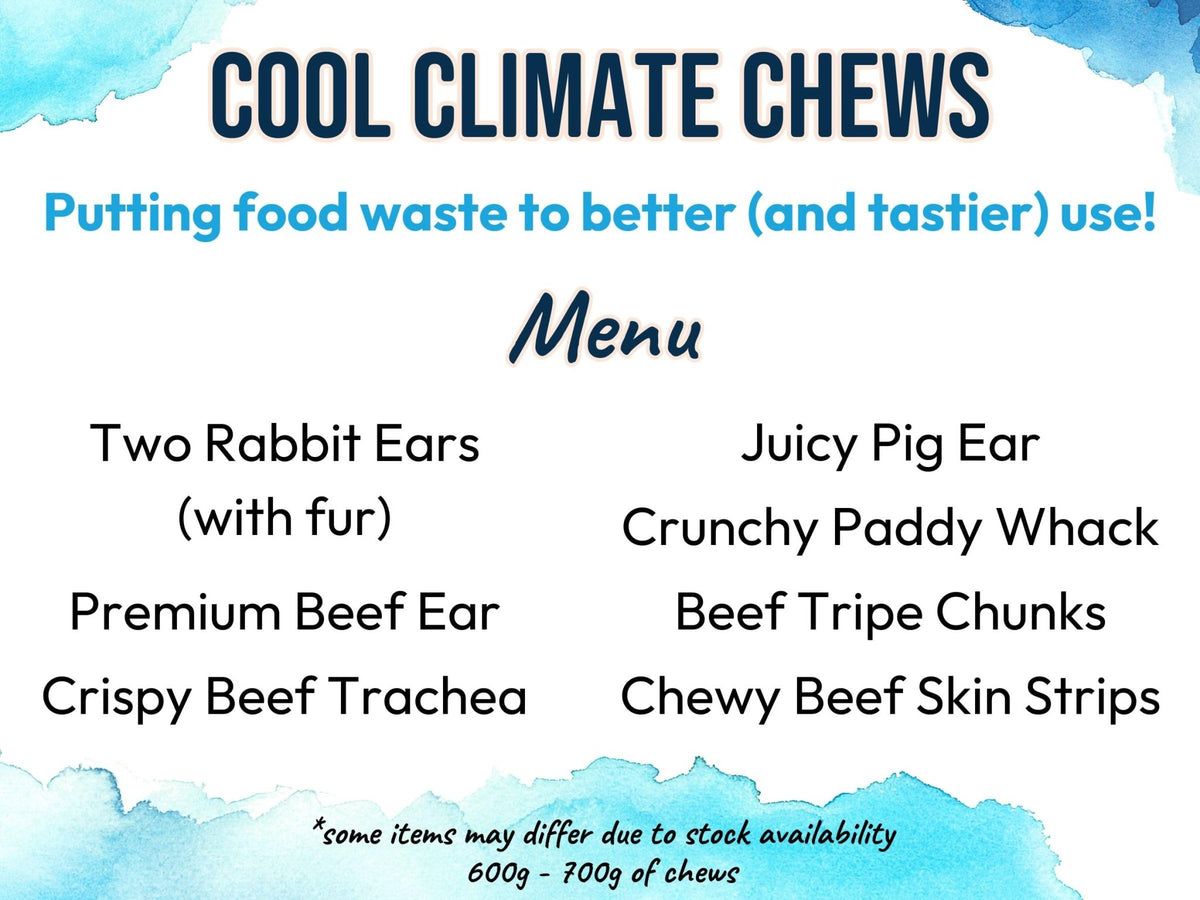 Natural Dog Chews, Tasty Long Lasting Variety Box of Doggy Chews, All Natural Treats - Chewy Yummy Chews for Adult Dogs (Large) - Sayby’s