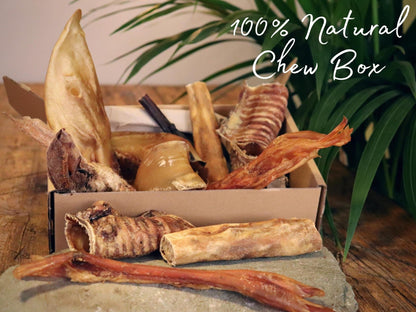 Natural Dog Chews, Tasty Long Lasting Variety Box of Doggy Chews, All Natural Treats - Chewy Yummy Chews for Adult Dogs (Large) - Sayby’s