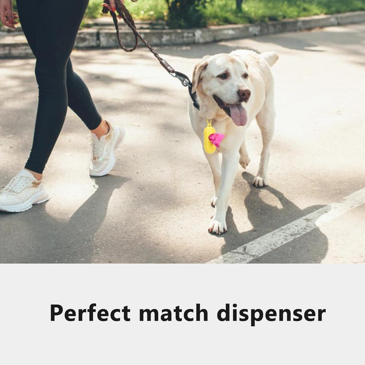 Nineaccy Biodegradable Dog Poo Bags with Holder-240 Large Poop Bags, Corn Starch Blended Compostable Poo Bag, Extra Thick Strong Leak Proof Poop Waste Bag for Dogs - Sayby’s