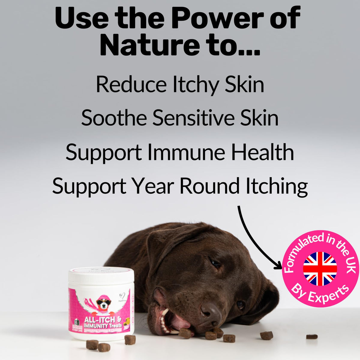 NutriPaw All-Itch, Flea & Tick Treats For Dogs - Soothe Itchy Paws, Eyes, Ears, Skin - Naturally Control Fleas & Ticks - Good for Small, Medium & Large Dogs - Supports Seasonal Itching - Sayby’s