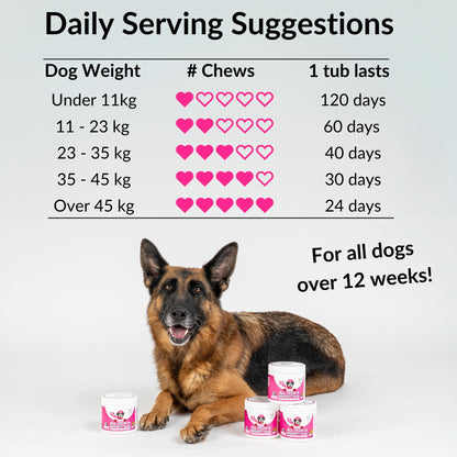 NutriPaw All-Itch, Flea & Tick Treats For Dogs - Soothe Itchy Paws, Eyes, Ears, Skin - Naturally Control Fleas & Ticks - Good for Small, Medium & Large Dogs - Supports Seasonal Itching - Sayby’s