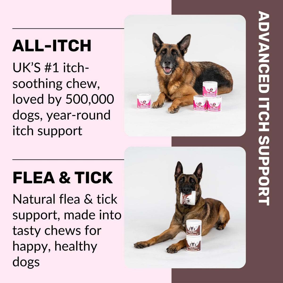 NutriPaw All-Itch, Flea & Tick Treats For Dogs - Soothe Itchy Paws, Eyes, Ears, Skin - Naturally Control Fleas & Ticks - Good for Small, Medium & Large Dogs - Supports Seasonal Itching - Sayby’s