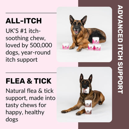 NutriPaw All-Itch, Flea & Tick Treats For Dogs - Soothe Itchy Paws, Eyes, Ears, Skin - Naturally Control Fleas & Ticks - Good for Small, Medium & Large Dogs - Supports Seasonal Itching - Sayby’s