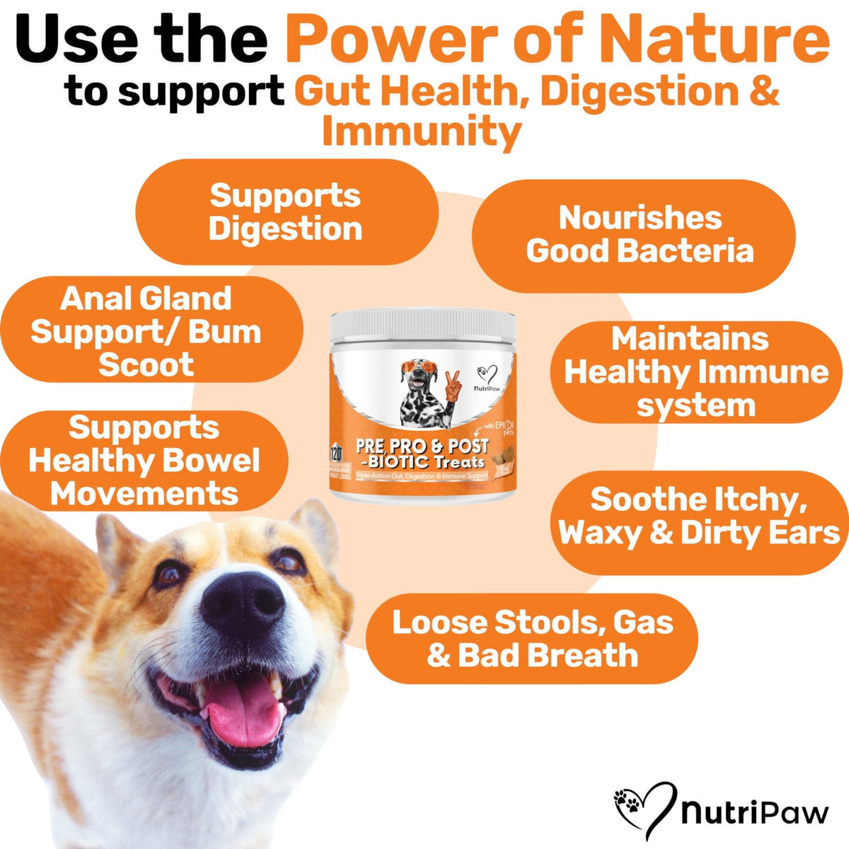 NutriPaw All-Itch, Flea & Tick Treats For Dogs - Soothe Itchy Paws, Eyes, Ears, Skin - Naturally Control Fleas & Ticks - Good for Small, Medium & Large Dogs - Supports Seasonal Itching - Sayby’s