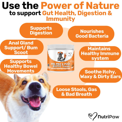 NutriPaw All-Itch, Flea & Tick Treats For Dogs - Soothe Itchy Paws, Eyes, Ears, Skin - Naturally Control Fleas & Ticks - Good for Small, Medium & Large Dogs - Supports Seasonal Itching - Sayby’s