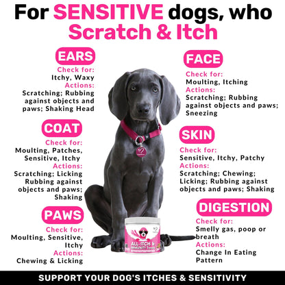 NutriPaw All-Itch, Flea & Tick Treats For Dogs - Soothe Itchy Paws, Eyes, Ears, Skin - Naturally Control Fleas & Ticks - Good for Small, Medium & Large Dogs - Supports Seasonal Itching - Sayby’s