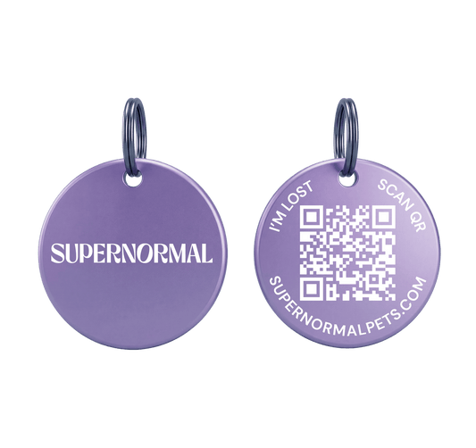 PawTag Smart QR Pet Tag FREE DELIVERY - Sayby’s