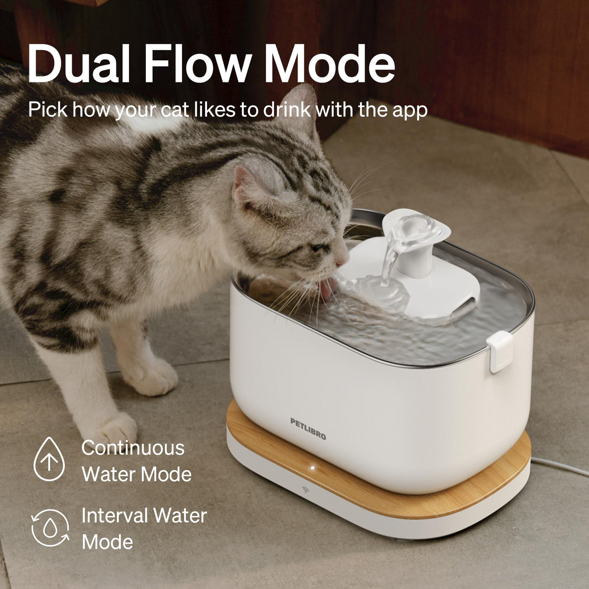 PETLIBRO Dockstream Cat Fountain, Smart Water Intake Tracker, 2.4 GHz WiFi App Control, Pet Drink Dispenser with Stainless Steel Tray, Plug-in Power Supply Required (White, 2.5L) - Sayby’s
