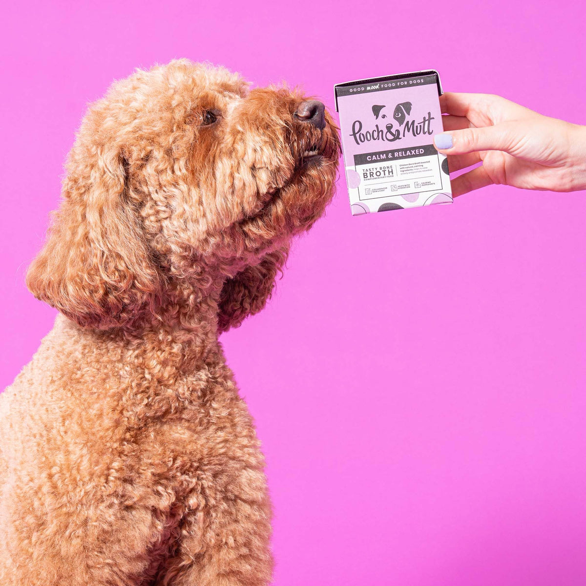 Pooch & Mutt - Calm & Relaxed, Complete Dry Dog Food (Grain Free), Turkey and Sweet Potato - Sayby’s