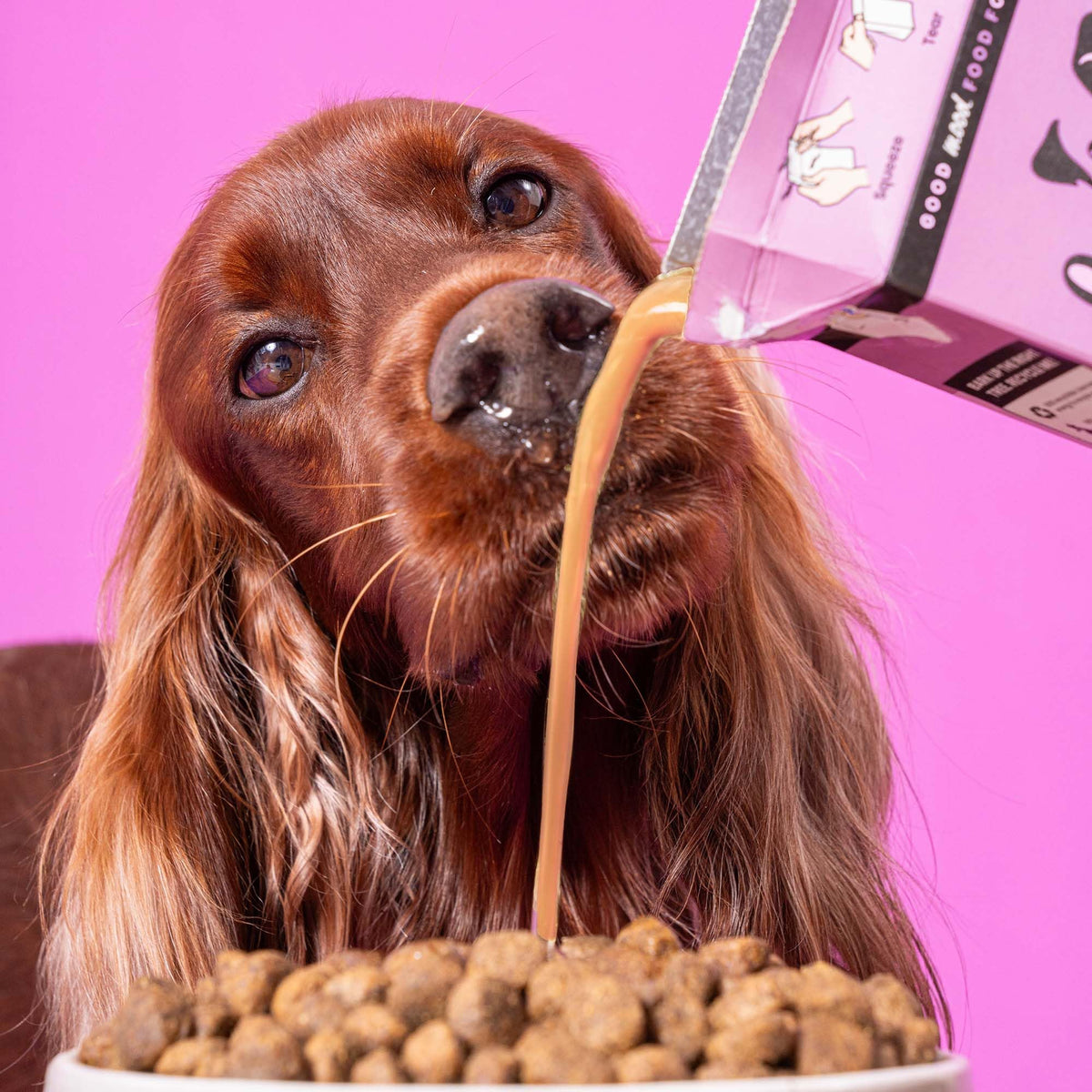 Pooch & Mutt - Calm & Relaxed, Complete Dry Dog Food (Grain Free), Turkey and Sweet Potato - Sayby’s