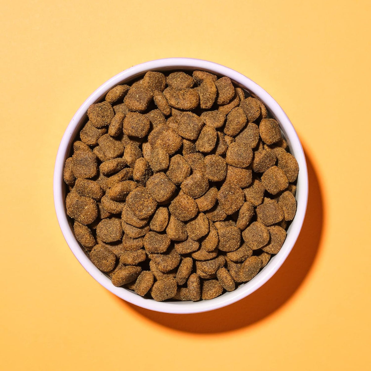 Pooch & Mutt - Complete Adult Dry Dog Food (Grain Free), Chicken & Superfood Blend, 1.5kg - Sayby’s