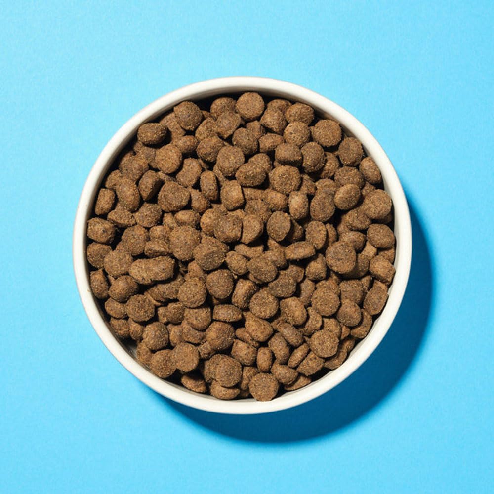 Pooch & Mutt - Health & Digestion, Complete Dry Dog Food (Grain Free), Salmon and Sweet Potato, 2kg - Sayby’s