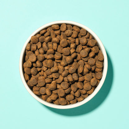 Pooch & Mutt - Joint Care, Complete Grain Free Dry Dog Food for Mobility Support, Salmon and Sweet Potato, 2kg - Sayby’s