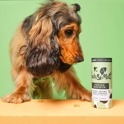 Pooch & Mutt - Meaty Jerky Treats, Grain Free Baltic Beef for Training Reward - Sayby’s