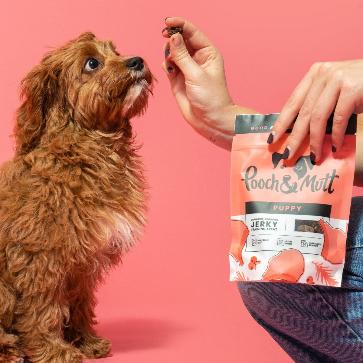 Pooch & Mutt - Meaty Jerky Treats, Grain Free Baltic Beef for Training Reward - Sayby’s