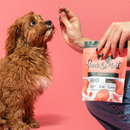 Pooch & Mutt - Meaty Jerky Treats, Grain Free Baltic Beef for Training Reward - Sayby’s