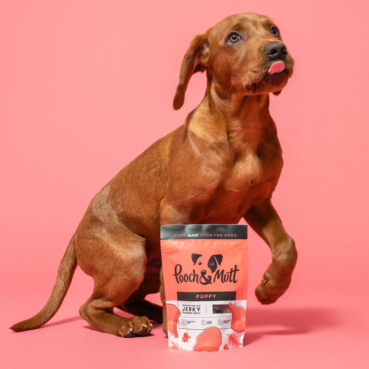 Pooch & Mutt - Meaty Jerky Treats, Grain Free Baltic Beef for Training Reward - Sayby’s