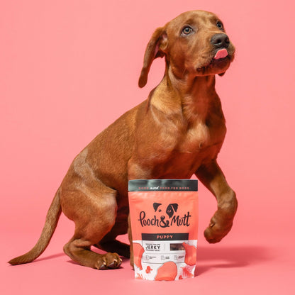 Pooch & Mutt - Meaty Jerky Treats, Grain Free Baltic Beef for Training Reward - Sayby’s