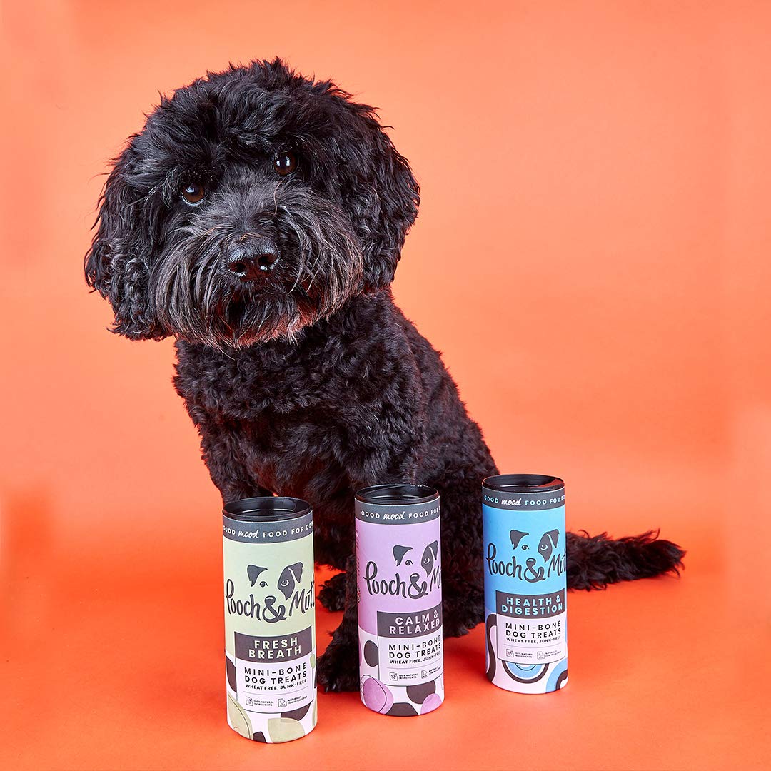 Pooch & Mutt - Meaty Jerky Treats, Grain Free Baltic Beef for Training Reward - Sayby’s