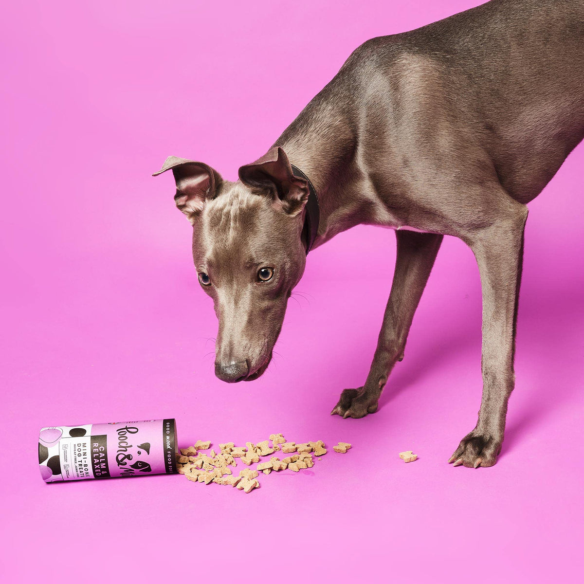Pooch & Mutt - Meaty Jerky Treats, Grain Free Baltic Beef for Training Reward - Sayby’s