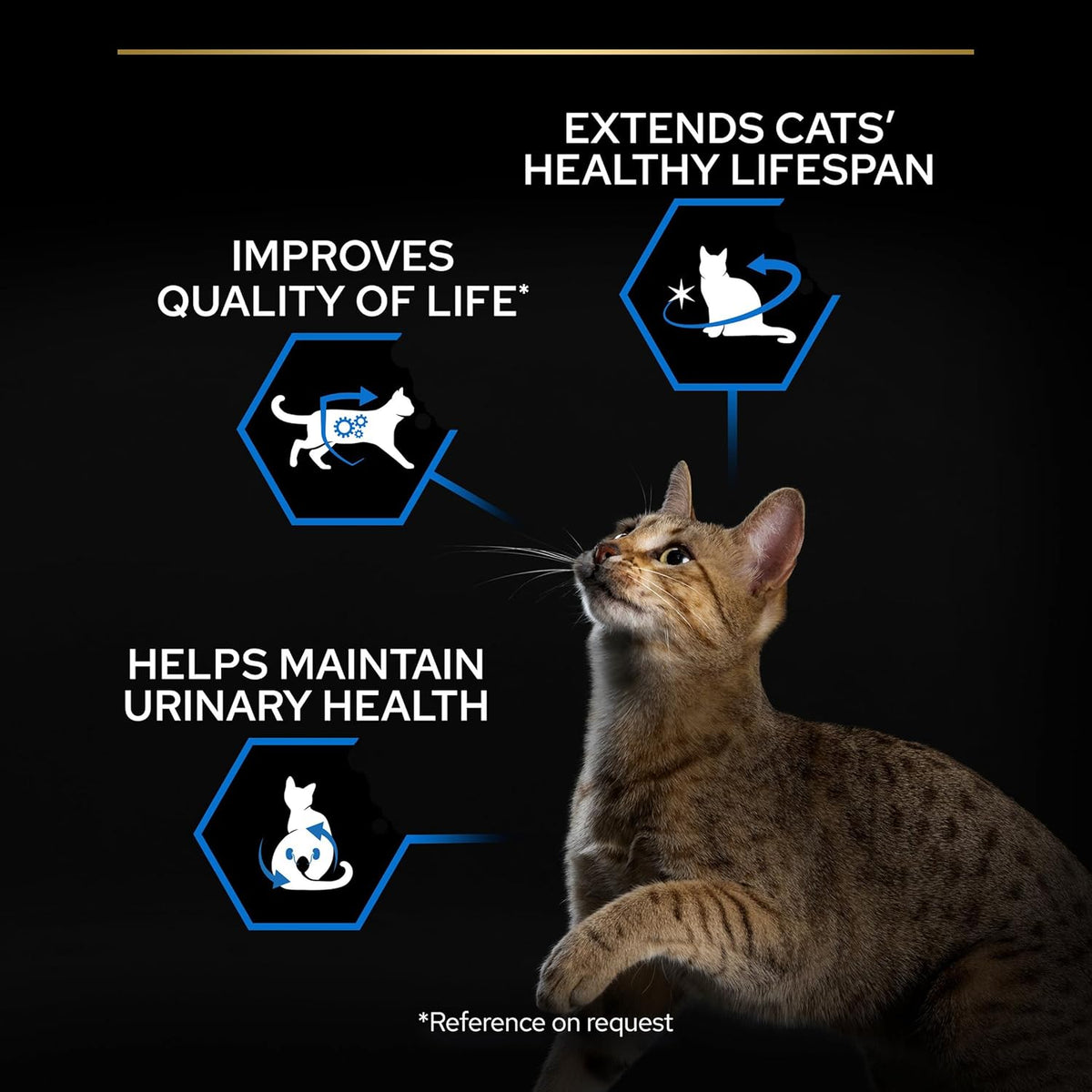 PRO PLAN® Adult 1+ RENAL PLUS Dry Cat Food - Sayby’s
