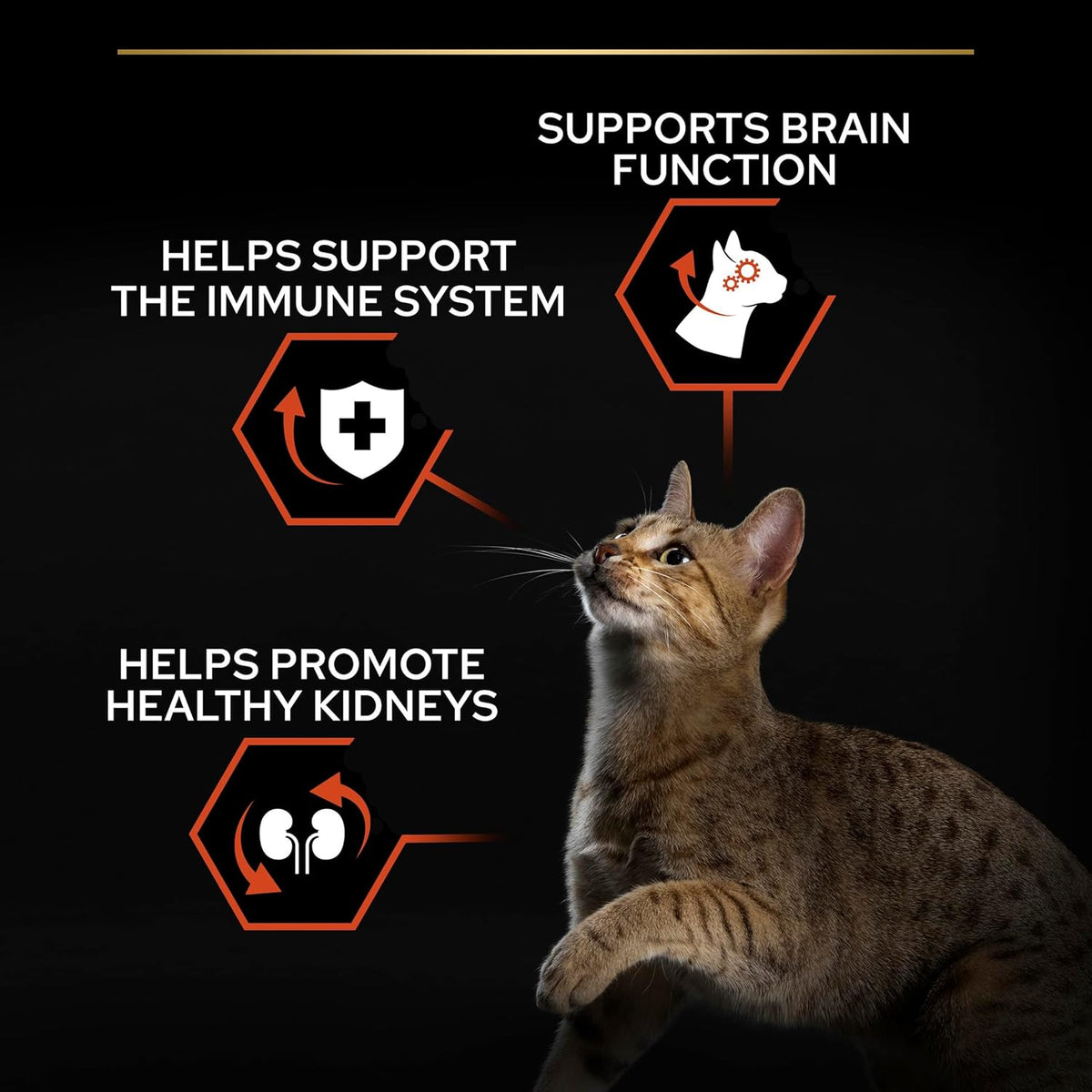 PRO PLAN® Adult 1+ RENAL PLUS Dry Cat Food - Sayby’s