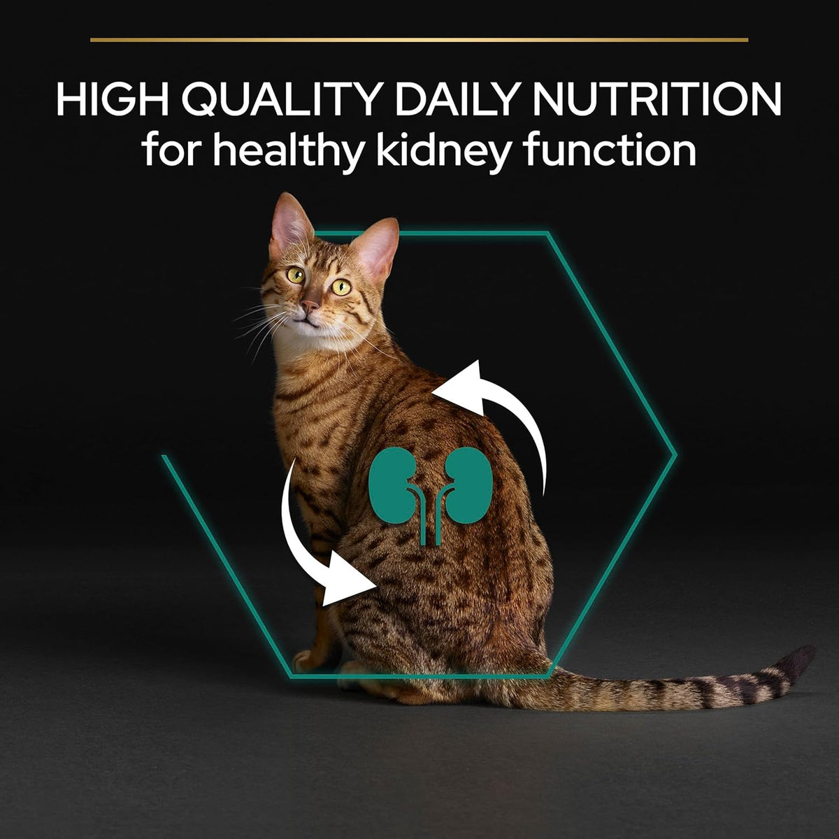 PRO PLAN® Adult 1+ RENAL PLUS Dry Cat Food - Sayby’s