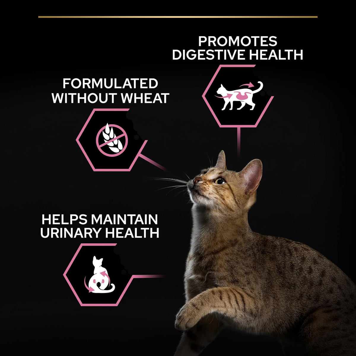 PRO PLAN® Adult 1+ RENAL PLUS Dry Cat Food - Sayby’s