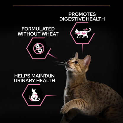PRO PLAN® Adult 1+ RENAL PLUS Dry Cat Food - Sayby’s