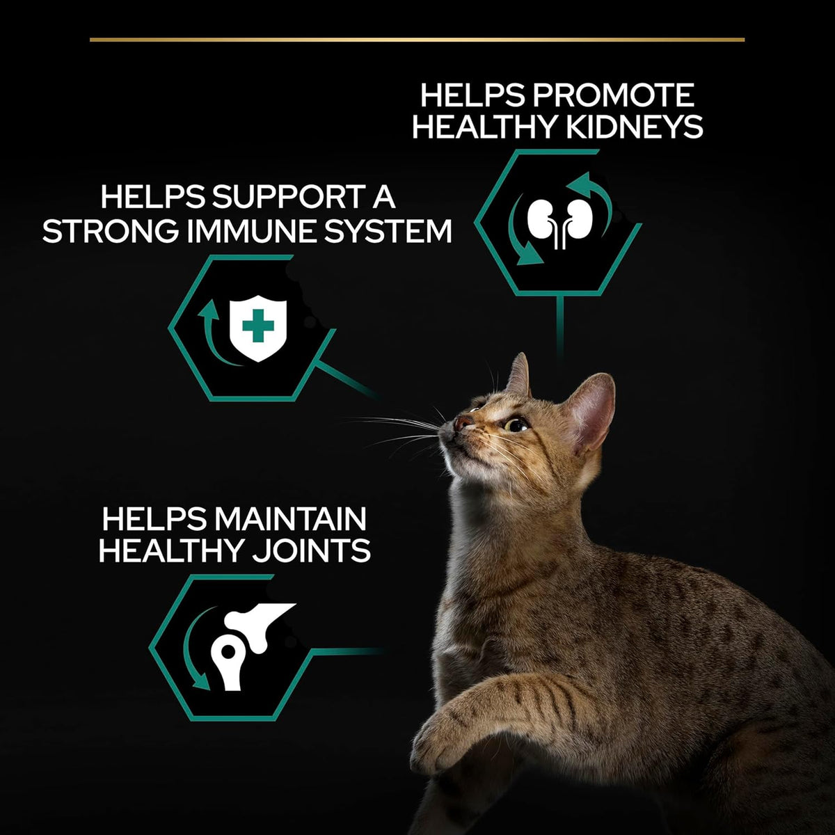 PRO PLAN® Adult 1+ RENAL PLUS Dry Cat Food - Sayby’s