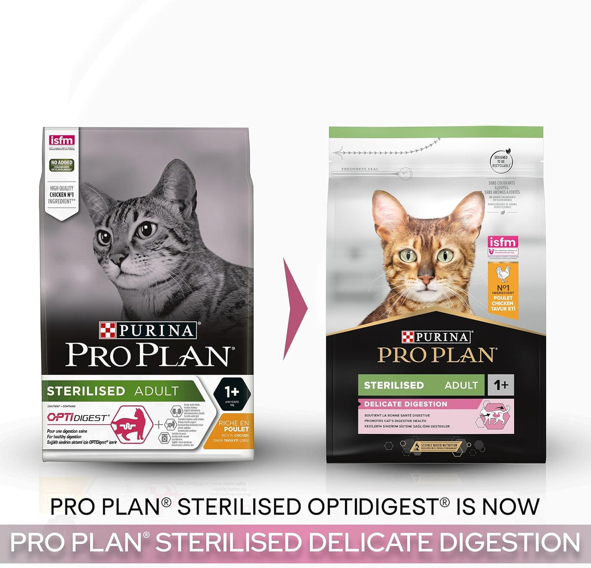PRO PLAN® Adult 1+ RENAL PLUS Dry Cat Food - Sayby’s