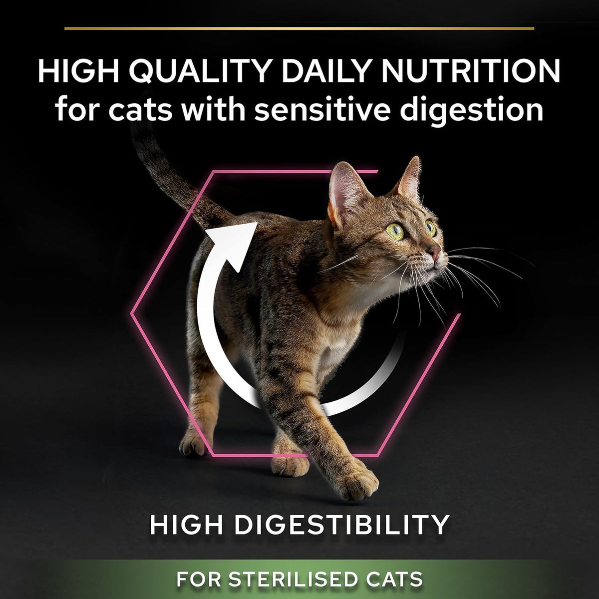PRO PLAN® Adult 1+ RENAL PLUS Dry Cat Food - Sayby’s