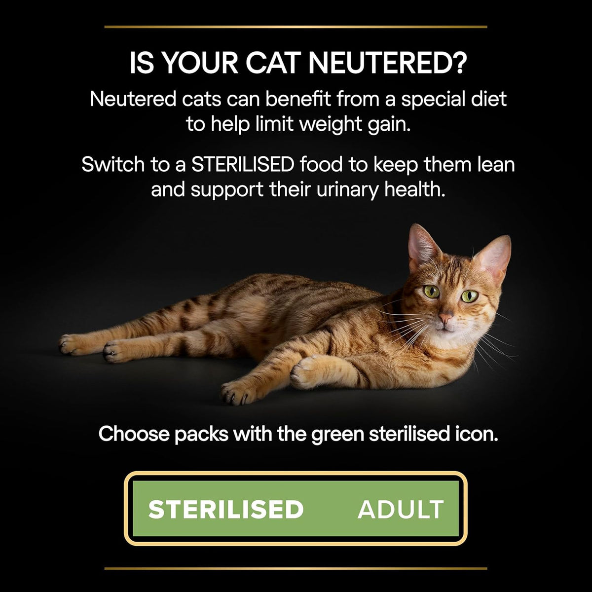 PRO PLAN® Adult 1+ RENAL PLUS Dry Cat Food - Sayby’s