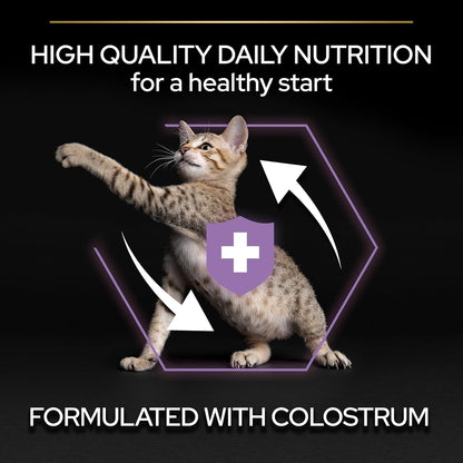 PRO PLAN® Adult 1+ RENAL PLUS Dry Cat Food - Sayby’s
